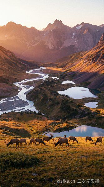 风车动漫 - AI影视制作教程 - DaVinci × AI 调色公开课